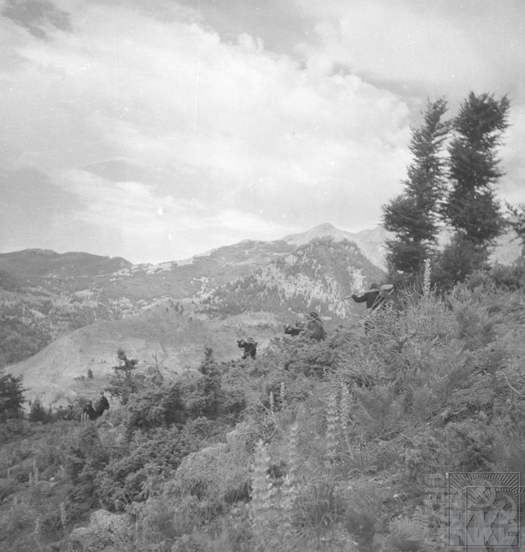 Στις 28 Αυγούστου 1949 άρχισε η σύμπτυξη των δυνάμεων του ΔΣΕ προς το Πληκάτι κι απο κεί στις 29 του μήνα πέρασαν την διάβαση της Μπάτρας, πάνω από τους Χιονιάδες, και πήγαν στη ΛΔ της Αλβανίας. Στη φωτογραφία εμφανίζεται η κίνηση ενός αποσπάσματος μαχητών και στο βάθος το πέρασμα της Μπάτρας.